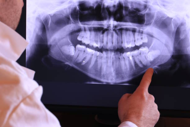 Best Emergency X-Rays and Diagnostics in Splendora, TX